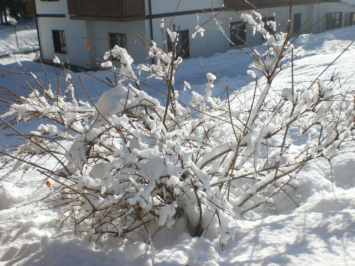 Hotel Villa Ines 보르카디카도레 외부 사진